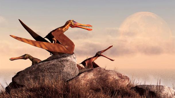 A trio of 3D-imaged pterosaurs as we have imagined them since we first knew they existed. No feathers here! (Daniel / Adobe Stock)