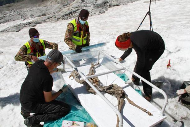 Marco Samadelli, conservation expert at Eurac Research, and Eurac Research anthropologist Alice Paladin with the 400-year-old chamois discovered in Val Aurina, South Tyrol (Italy). The discovery site, at 3200 m MSL, is impassable and can only be reached by a six-hour hike. 