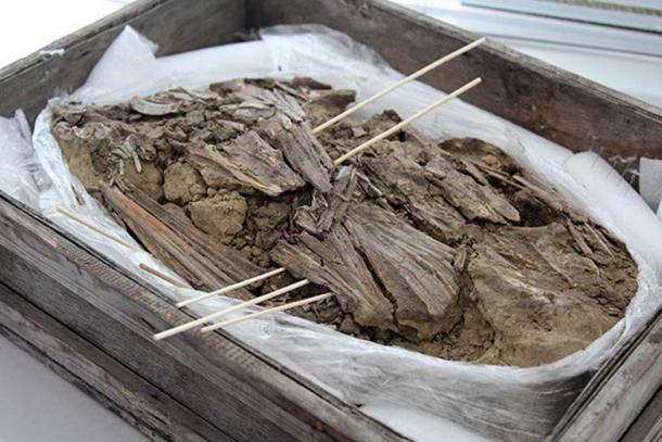 5,000 years old graves reveal shamans in bird beak ‘collar’ and bronze ‘spectacles’. Pictures: Institute of Archeology and Ethnography, The Siberian Times