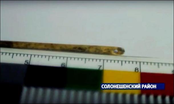 The 7 centimeter (2 3/4 inch) needle was made and used by our long extinct Denisovan ancestors, a recently-discovered hominin species or subspecies. 