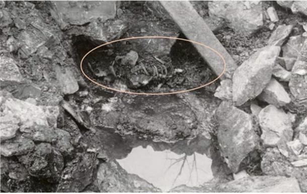 800-year-old body found in Norwegian well supports accuracy of Sverris Saga