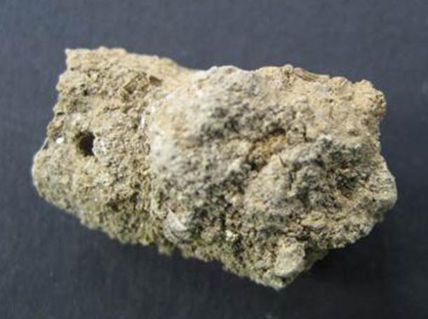 8000-year-old human coprolite from Çatalhöyük, Turkey