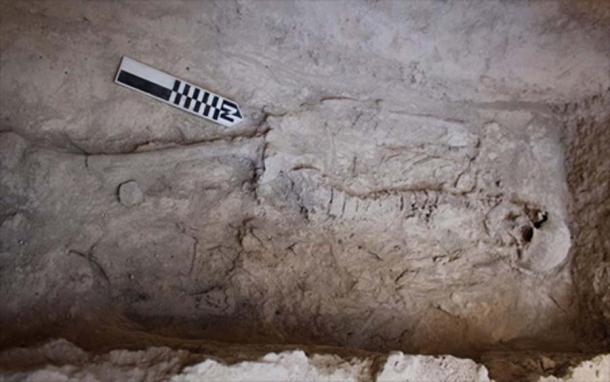 A burial found in a chamber at Aidonia. Credit: Ministry of Culture and Sports