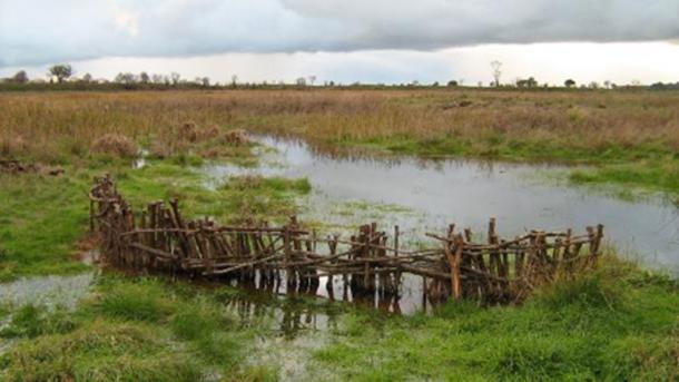 A channel with reconstructed stake, branch and weir in the Budj Bim Cultural Landscape. (Gunditj Mirring Traditional Owners)