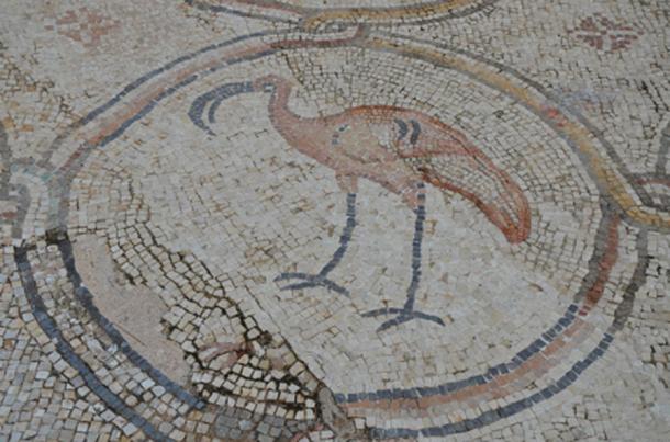 A flamingo, detail from the 6th century AD Bird Mosaic that adorned the atrium of a large palace complex outside the city wall of Byzantine Caesarea, Caesarea Maritima, Israel. (Butko / Public Domain)