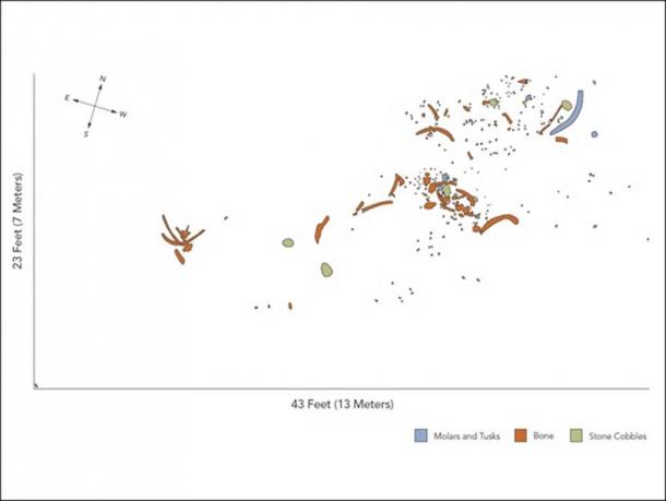A map of the Cerutti Mastodon site that shows fractured mastodon leg bones, bone fragments, broken molars, and tusks that lay clustered around two large stones—other stones lay nearby.