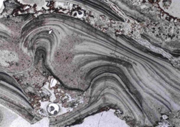 A microscopic image of geyserite textures from the ancient Dresser Formation in the Pilbara Craton in Western Australia. This shows that surface hot spring deposits once existed there 3.48 billion years ago. (UNSW)
