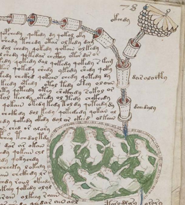A page of illustrations and text from the mysterious Voynich manuscript. (Public Domain)
