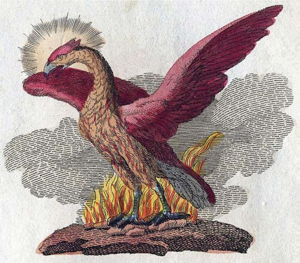 A phoenix in Friedrich Justin Bertuch’s, ‘Bilderbuch für Kinder’, 1790-1830. (Public Domain)