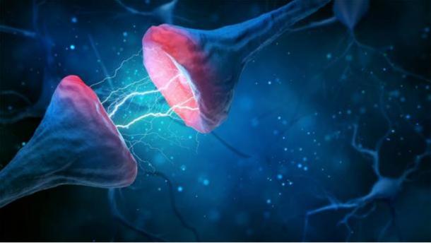 A picture of a brain synapse and neuron and the electromagnetic signals exchanged, which is, according to neuroscience, the source of human consciousness. (k_e_n / Adobe Stock)