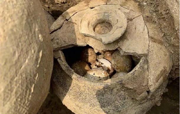 A pot of eggs was found in a tomb in Shangyang Village, Liyang, China. (jschina.com.cn)