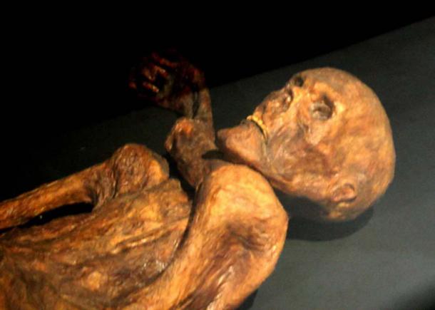 A reconstruction of Ötzi mummy as shown in Prehistory Museum of Quinson, Alpes-de-Haute-Provence, France. (CC BY-SA 3.0)