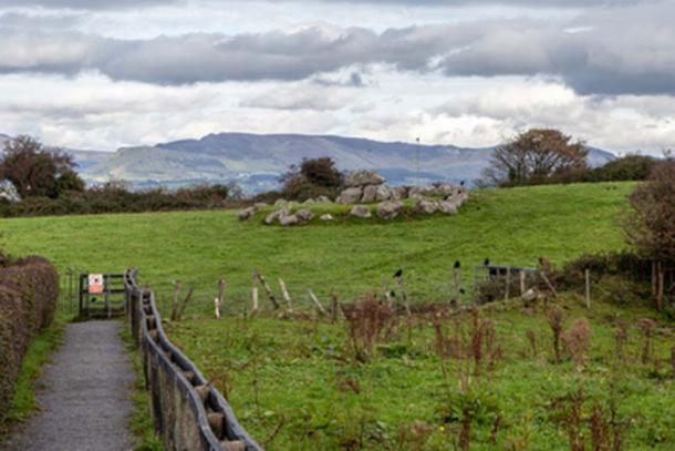 A satellite tomb with central dolmen at Carrowmore. This particular tomb is on private land and not accessible to the public. Credit: Ioannis Syrigos