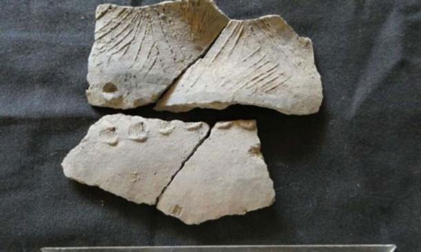 A shard of an ancient ceramic vessel from the insufficiently studied San Pedro complex found on Real Alto site, Ecuador. Source: FEFU press office