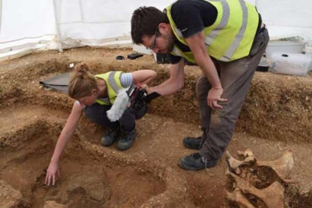 A shield that is part of the chariot burial with two horses emerges. (Alex Wood /Yorkshire Post)