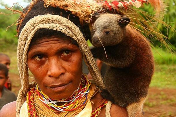 A study of the DNA of Papuans from New Guinea led to the discovery that Denisovans and modern humans mated. (Flickr upload bot / CC BY-SA 2.0)