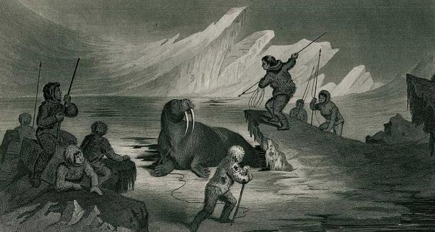 A walrus hunt in Greenland.