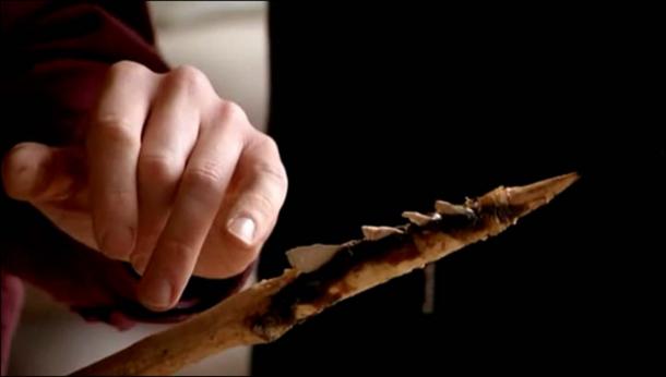 A weapon with the tip with microliths. Picture: Antropogenez.ru