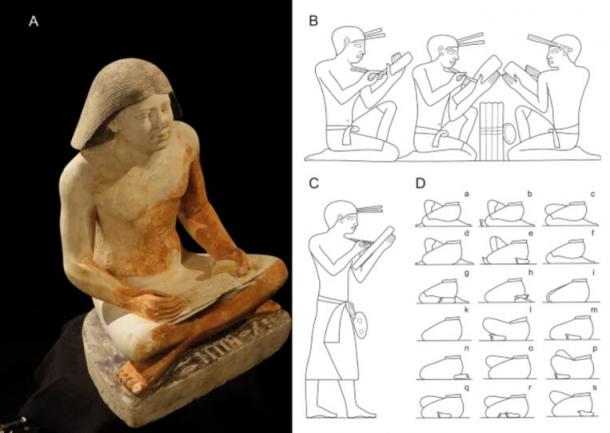 Working positions of scribes. (A) cross-legged (sartorial) position (the scribal statue of the high-ranking dignitary Nefer, Abusir; photo Martin Frouz); (B) kneeling-squatting position (wall decoration from the mastaba of the dwarf Seneb29); (C) standing position (wall decoration from the mastaba of the dwarf Seneb29); (D) based on tomb relief decoration, different position of the legs when sitting30. (Drawing Jolana Malátková/Nature)
