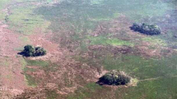 Aerial view of forest islands in the Amazonian region of Bolivia. (Umberto Lombardo)