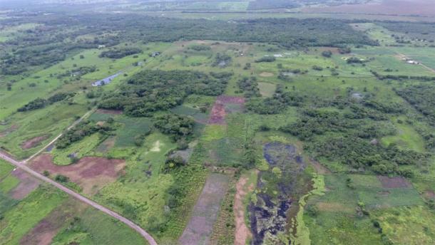Aerial view of Aguada Fénix. Causeways and reservoirs in front and the Main Plateau in the back. (Takeshi Inomata / Nature)