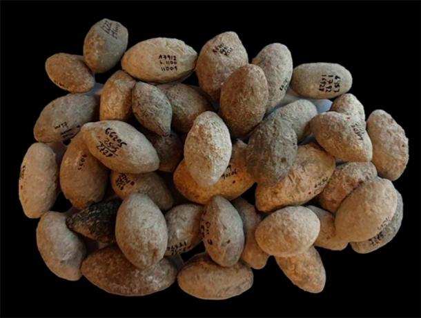 Stone Age sling stones found in Ein Zippori, Israel. (Gil Haklai/IAA)