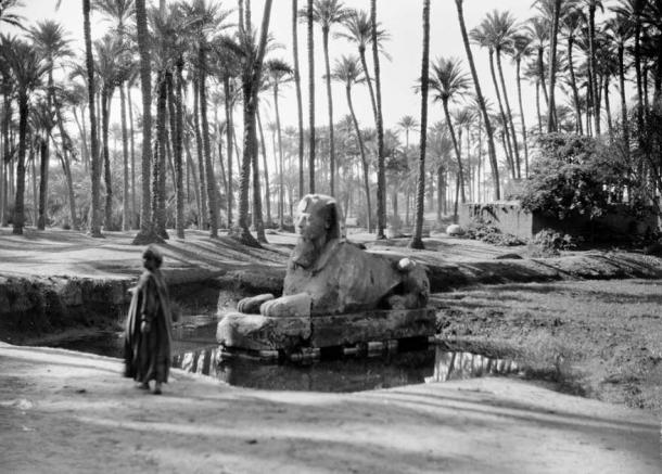 Alabaster Sphinx at the Temple of Ptah around 1929. (Public domain)