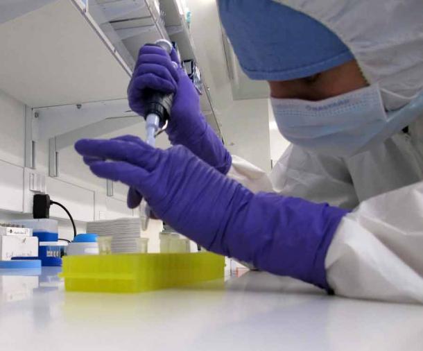 Alisa Vershinina works in the Paleogenomics Lab at UC Santa Cruz where ancient DNA is extracted from fossils for sequencing and analysis. (Paleogenomics Lab at UC Santa Cruz)