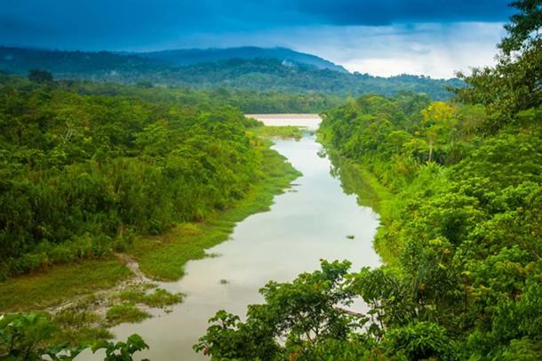 Amazon River, Amazon. (Grispb / Adobe)