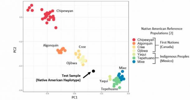 Native American ancestry specific principal component analysis (haplotype) from Bustamante’s report. (DNAeXplained – Genetic Genealogy)