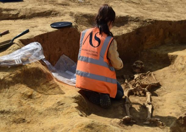 An Archaeological Solutions expert excavates a burial (Archaeological Solutions)
