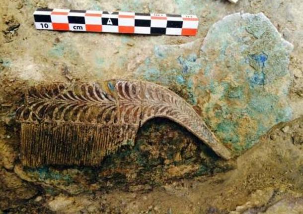3,500-Year-Old Unplundered Warrior Tomb with Huge Treasure Hoard