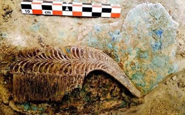 An ivory comb which was found in the grave last year.