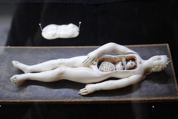 Anatomical manikin, ivory, 17th century. (Torana/CC BY SA 3.0)