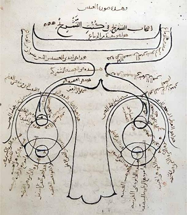 Anatomy of the eye diagram in Ibn al-Haytham's Book of Optics (part I on direct vision). (Public domain provided by the author)