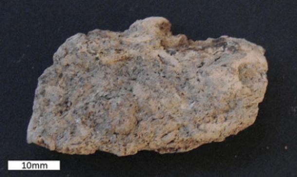 Ancient feces found at the site