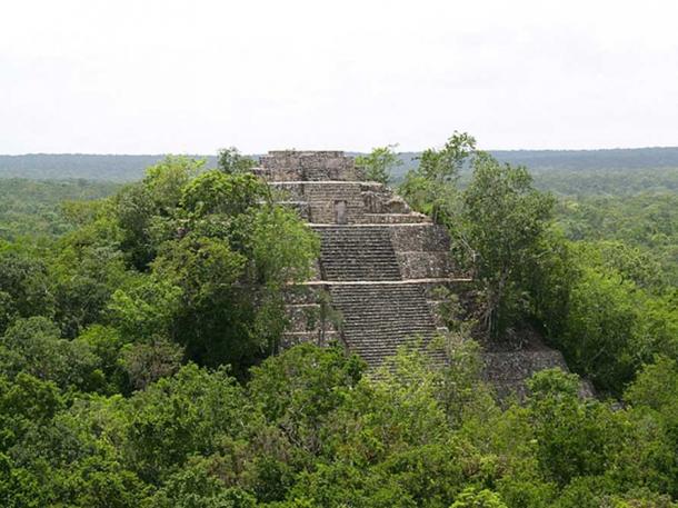 Ancient temple in the jungle, Calakmul. (CC BY SA 3.0)