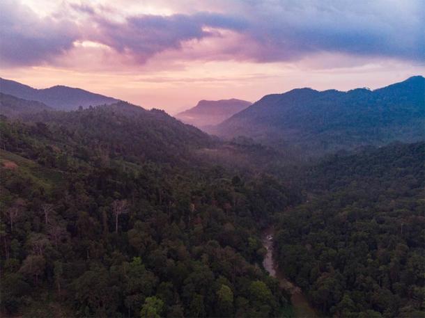 Ancient Rain Forest in Sri Lanka Source: zorgans / Adobe Stock