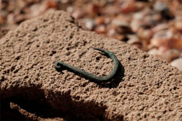 Ancient fishhook found in Ashkelon, Israel was most likely used to hunt sharks. (Israel Antiquities Authority)