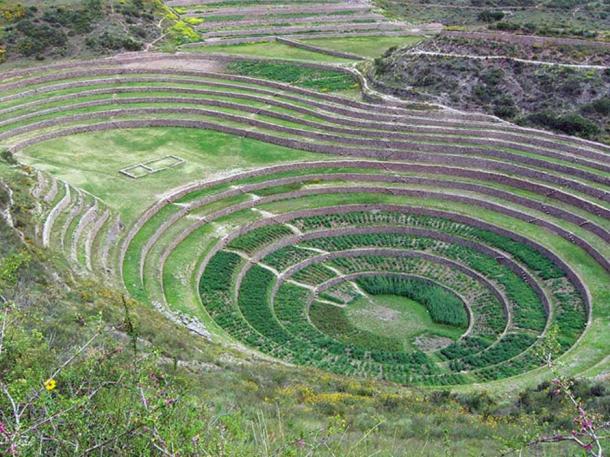 Andenes at Moray, Peru.