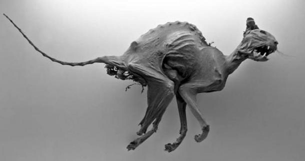 Animals and animal parts were preserved and wrapped to use as offerings in ancient Egypt. 