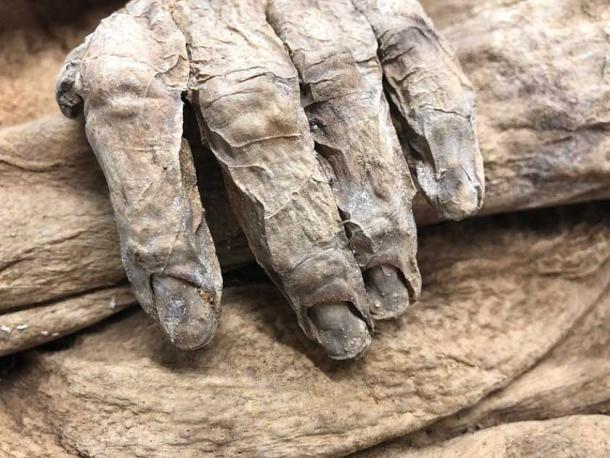 Anna Catharina Bischoff’s mummified hand (CC)