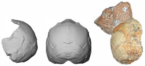 Apidima 1 and its reconstruction. Katerina Harvati, Eberhard Karls University of Tübingen.