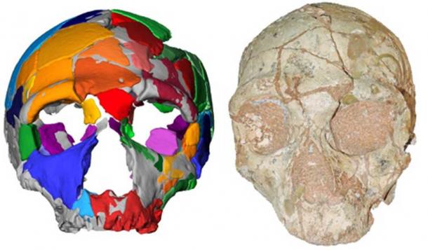 Apidima 2 and its reconstruction. Katerina Harvati, Eberhard Karls University of Tübingen.