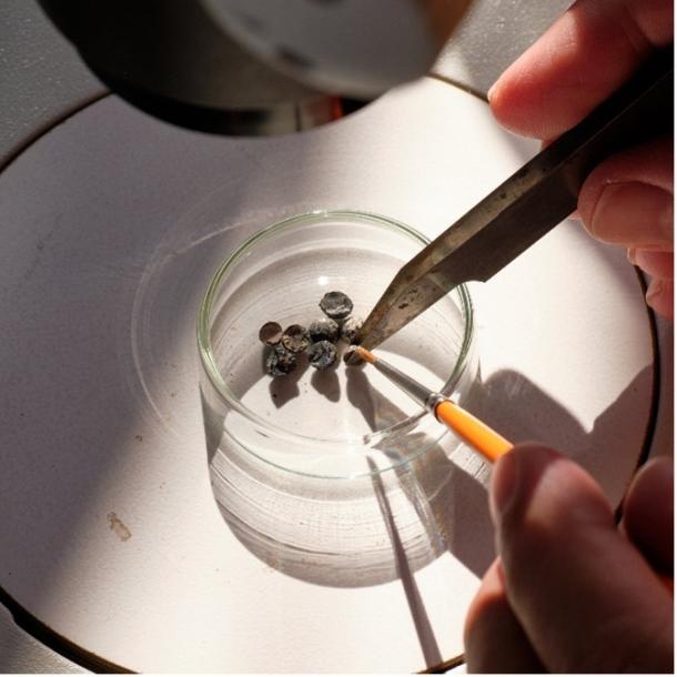 Archaeobotanical analyses of seeds and plant remains provide information on the cultivation and trade of wine. 