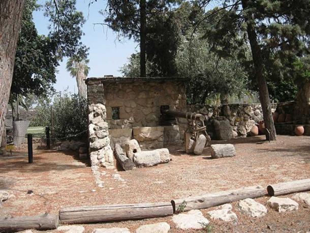 Archaeological finds from Ekron (CC by SA 4.0 / Daniel Ventura)