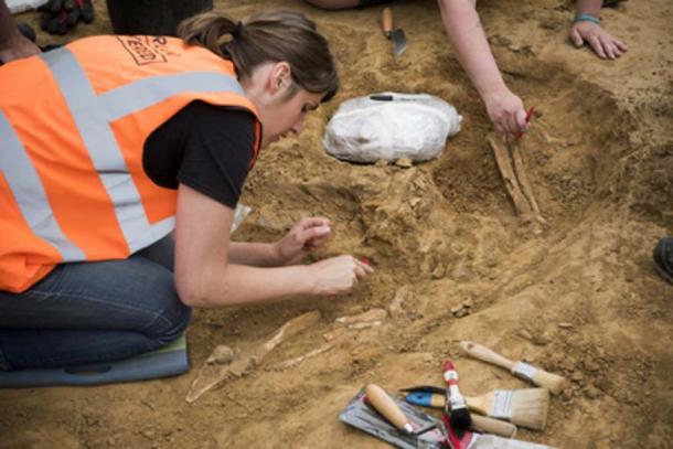 Archaeologist Eva Collignon excavating the human bones at Mont‐Saint‐Jean from the Battle of Waterloo. (Chris van Houts / Waterloo Uncovered)