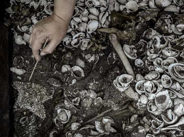 Archaeologist at work during excavations at the Templo Mayor in Mexico City. (Melitón Tapia / INAH)