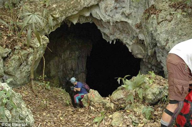 Los arqueólogos descendieron diariamente sesenta juegos de escaleras de madera para realizar su investigación en la Cueva Maya Midnight Terror (Universidad Estatal de California, Los Ángeles)