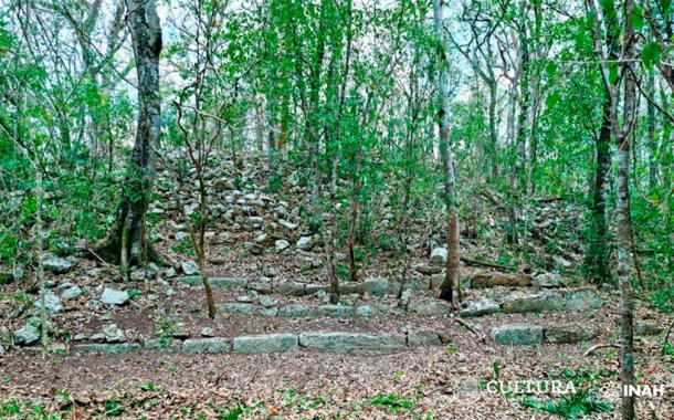 Archaeologists have located several buildings at the site of the lost Maya city now known as Ocomtun in Mexico, such as this one with stone steps leading to its entrance. (Ivan Ṡprajc / INAH)